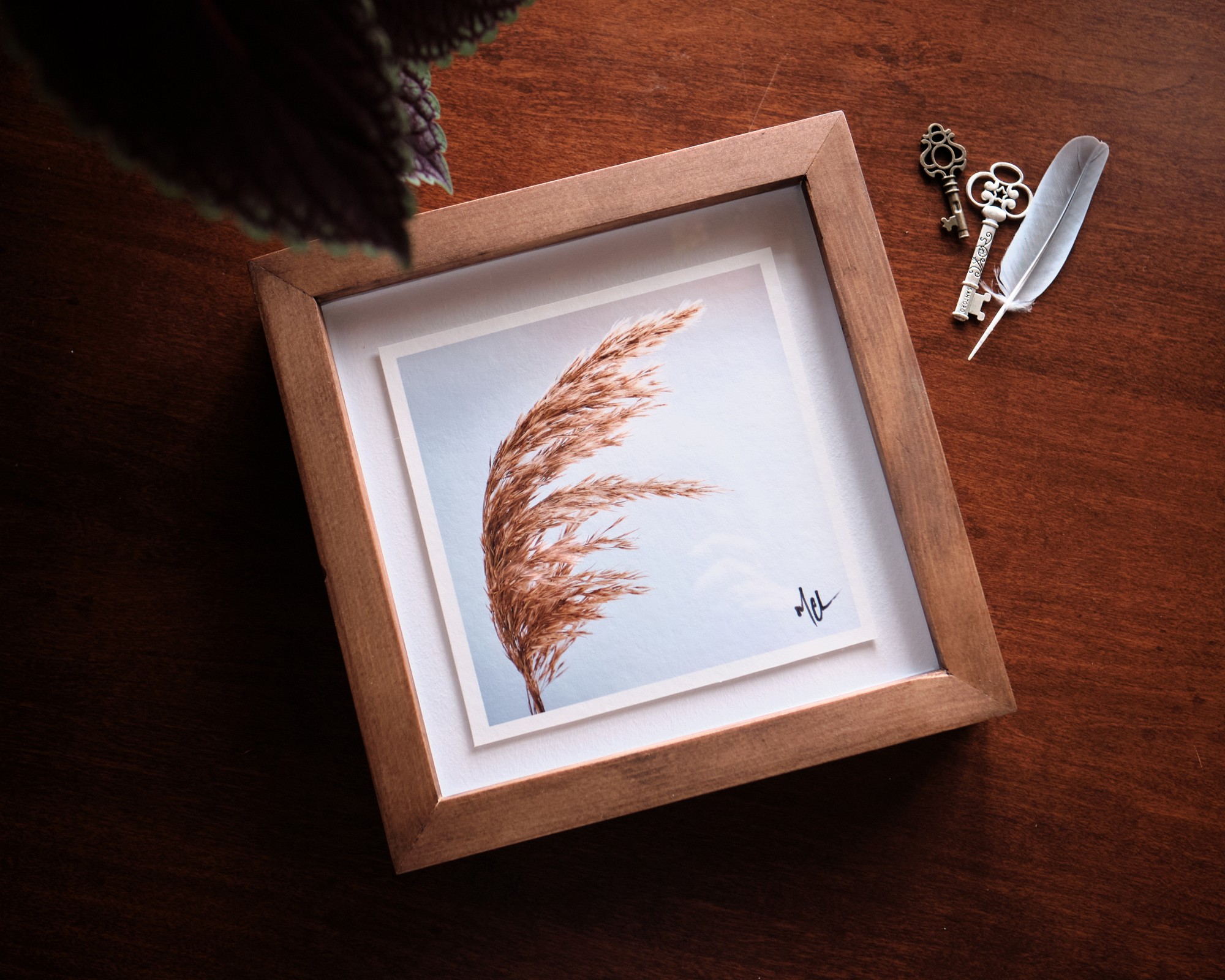 Photo by Mathieu Chiasson