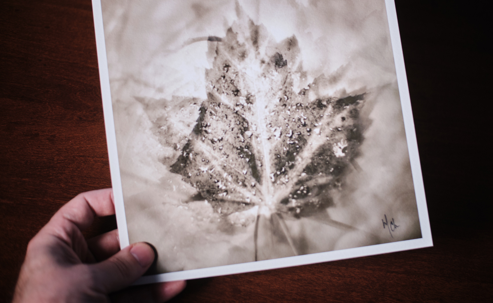 Photo by Mathieu Chiasson