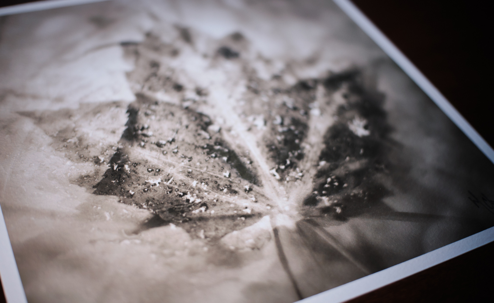 Photo by Mathieu Chiasson