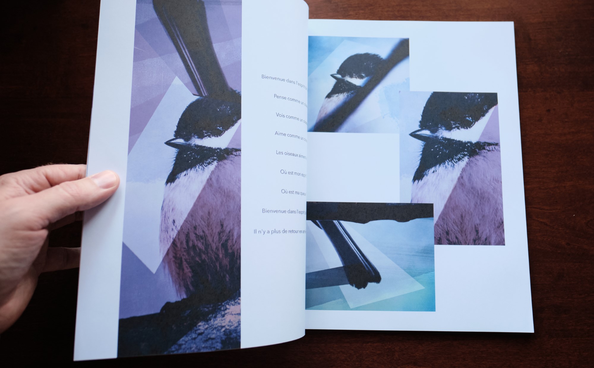 Photo by Mathieu Chiasson