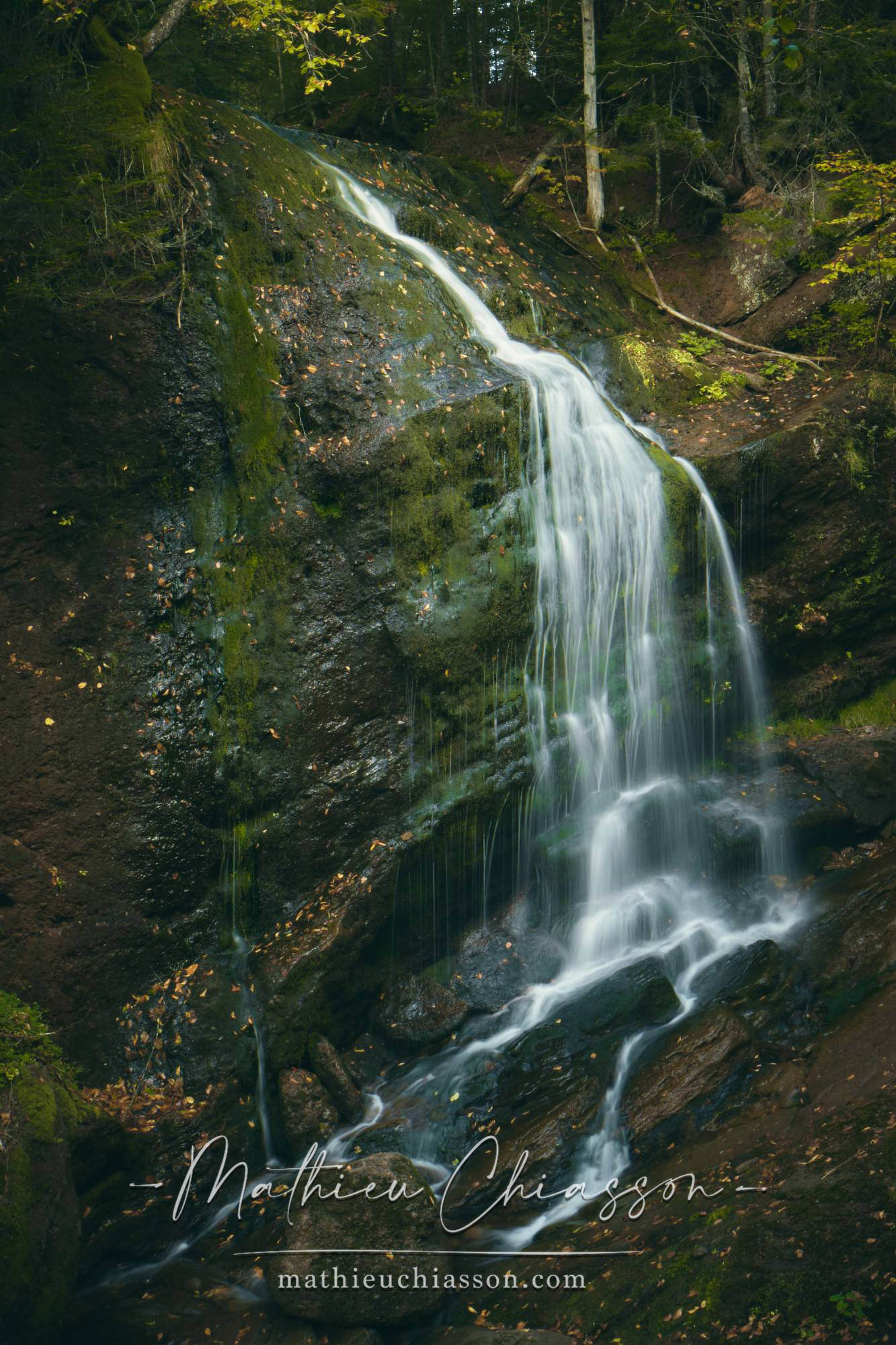 Photo by Mathieu Chiasson