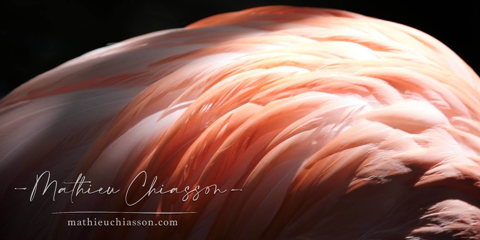 Photo by Mathieu Chiasson