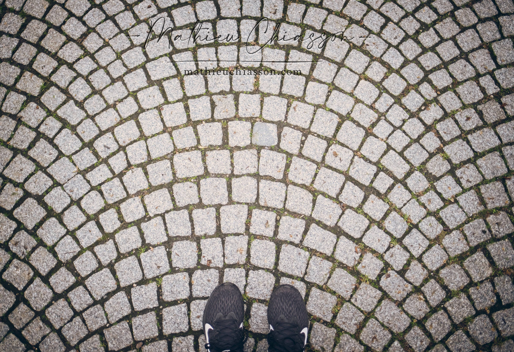 Photo by Mathieu Chiasson