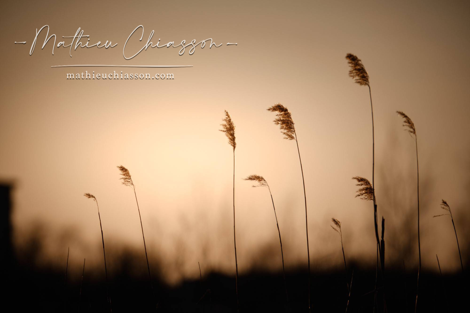 Photo by Mathieu Chiasson